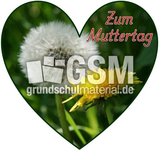 Herz-Foto-Muttertag_53.jpg
